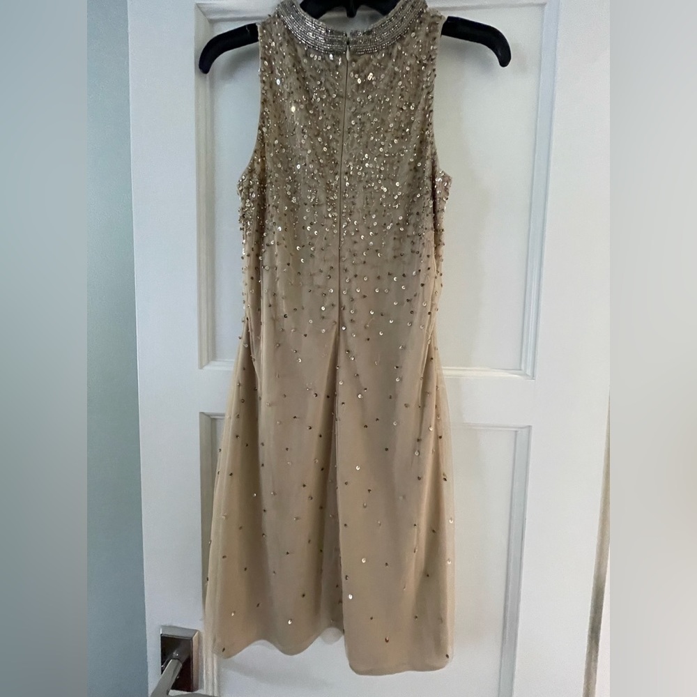 Beautiful Cache Hand-Sewn Sequined Dress